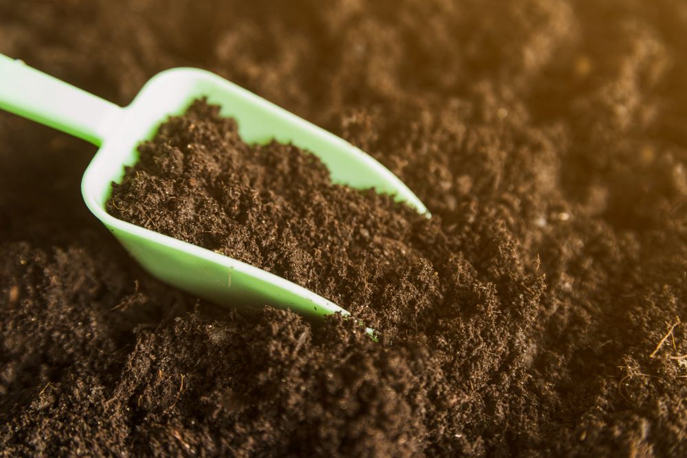 Wapnowanie gleby kluczem do zdrowych płodów rolnych