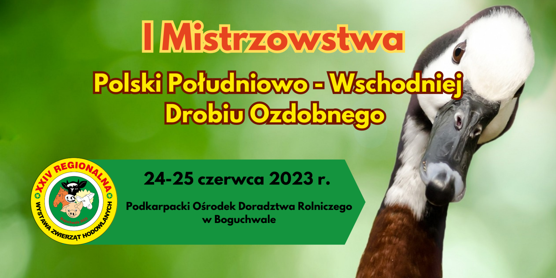 I Mistrzostwa Polski Południowo – Wschodniej Drobiu Ozdobnego
