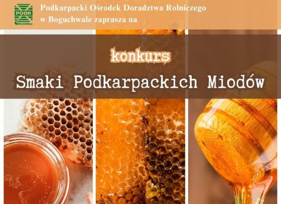 „Smaki podkarpackich miodów” - konkurs dla pszczelarzy