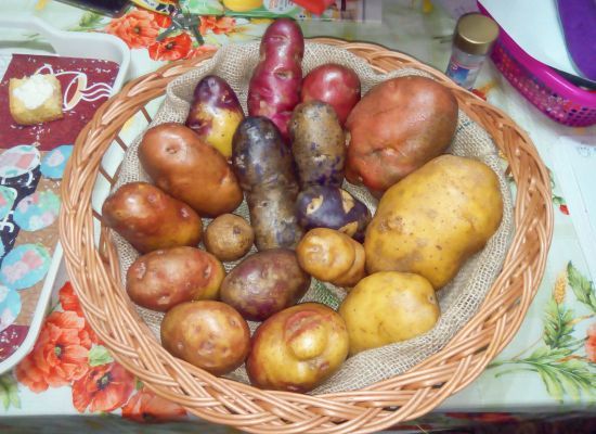 Kolorowe ziemniaki