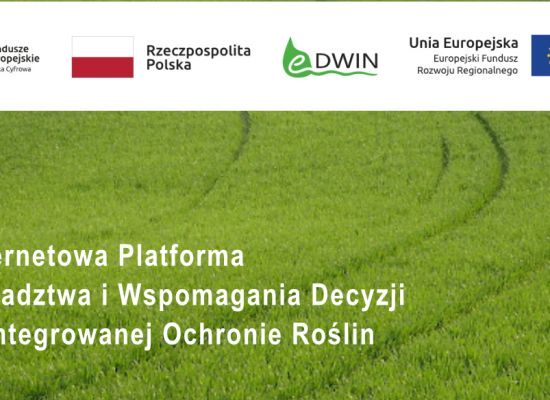 Projekt eDWIN - uruchomienie strony internetowej