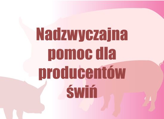 Nadzwyczajna pomoc dla producentów świń